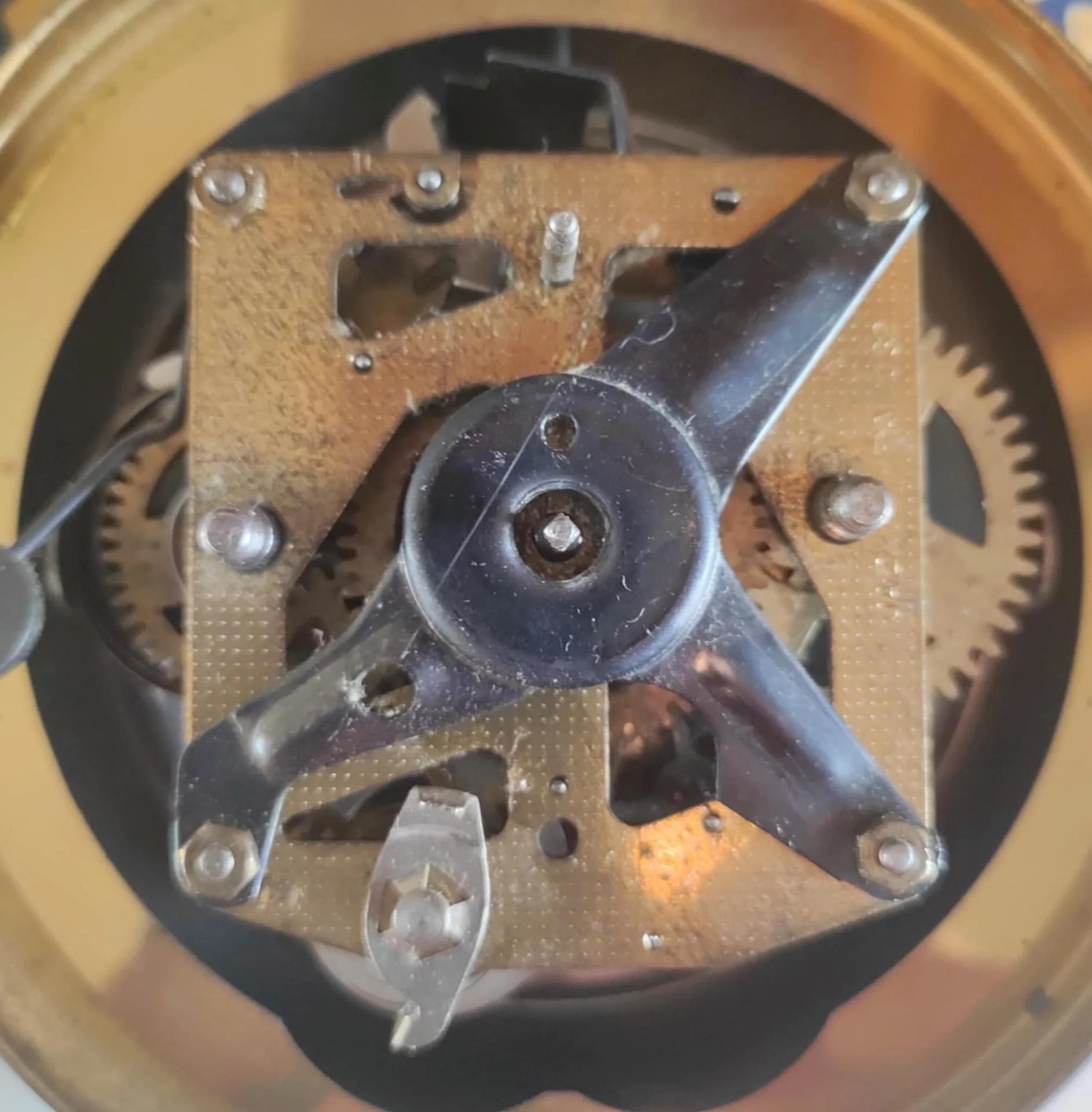 Mouvement Jaz Massic